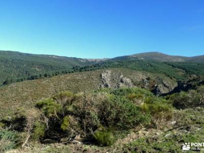 La Dehesa Bonita - Abedular de Somosierra; parque natural murcia hoces del duraton senderismo fmm ru